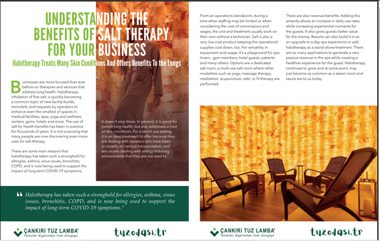 Discover The Advantages Of Salt Therapy For Your Business